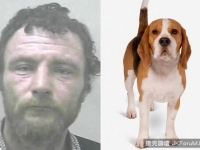 與狗做愛被捕　男辯：非虐待動物，這是「溫柔的性交」