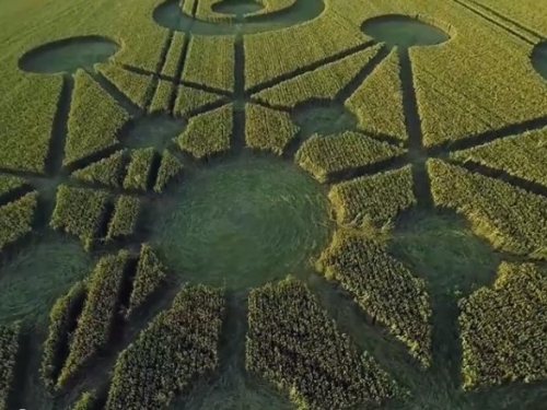 英國驚現今年首個麥田怪圈
