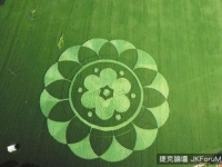 北京出現了中國第一個麥田圈，官方說是人造的，但看完現場後，大家的看法變了