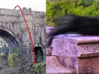 英國有一座讓600多隻狗狗自殺的「鬼橋」！科學家終於找出背後的原因⋯⋯真相讓大家傻眼了！