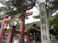 不只嚴島神社！日本另一水上鳥居『白鬚神社』！