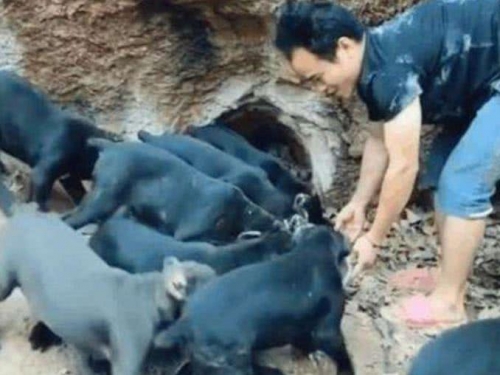 兒子和爸爸捉迷藏，好不容易找到爸爸，一看卻無法淡定！