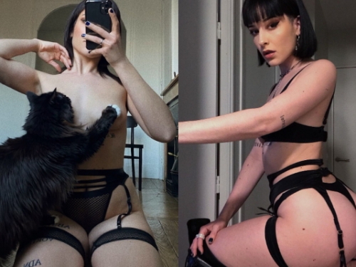 主人露太多…毛孩出手忠心護乳！「貓咪馬賽克」可愛又可恨網友崩潰