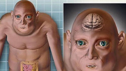 1000年後人類長這樣！科學家瘋狂預測
