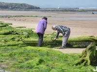 太驚人！英國北海退潮驚現7000年前人類足跡！間接證明歐洲和英國中間是陸地！