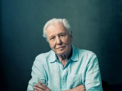 這個94歲的老人擁有全世界最好的工作