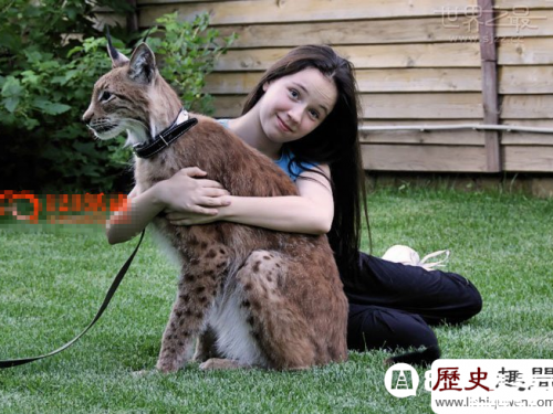 世界上最大的貓有多大