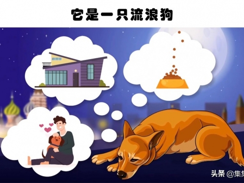傷感太空史：人類歷史上第一隻太空狗所面對的7個悲慘事實