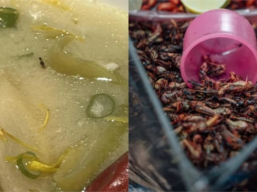 酸菜魚「湯裡驚現隱翅蟲」超噁！店員硬辯「那是花椒」