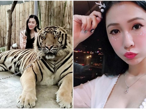 正妹「文飛飛」合照倚靠大老虎，大膽舉動讓粉絲都好佩服喔！