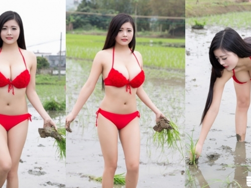 好狂！「巨乳農婦」比基尼下田，「倒奶插秧」畫面看了好興奮！網：想插（秧）＋ 1