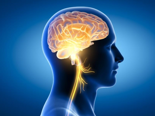 研究發現人有「第七感」 不接觸也能感知物體