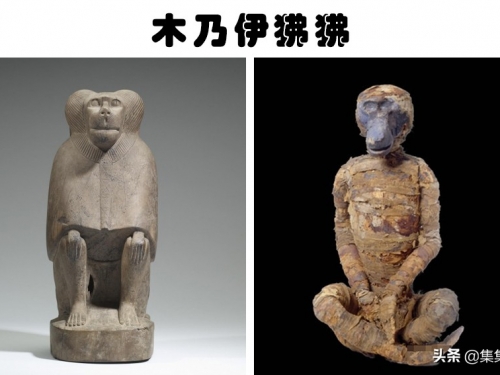 在發掘和研究的過程中，找到的7個來自古埃及的有趣事實
