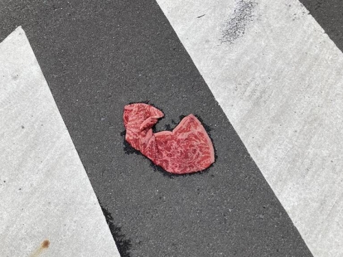 和牛掉地上？ 散步見路邊「一塊肉」 竟是條毛巾「高級偽裝」