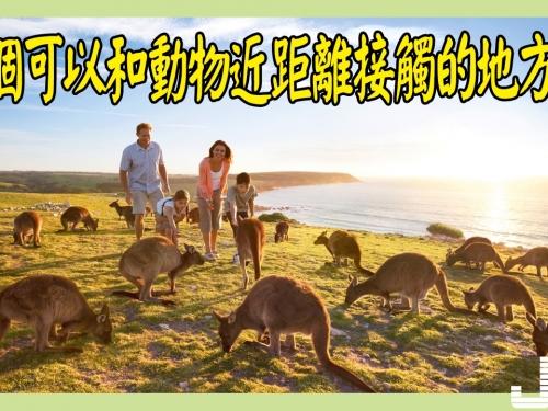 10個可以和野生動物近距離接觸的地方