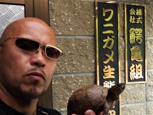 真的沒前科？「外表凶惡」鱷龜研究所長無奈︰是多希望我有