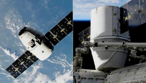 SpaceX 飛龍號成功將基改老鼠送上國際太空站