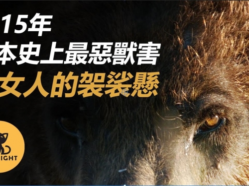 只吃女人的詭異獸害，日本史上堪比靈異故事的猛獸食人事件 三毛別羆|獸害|真實案件|...