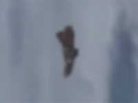 《黑騎士？太空碎片？衛星影片驚現UFO跟蹤國際太空站！》