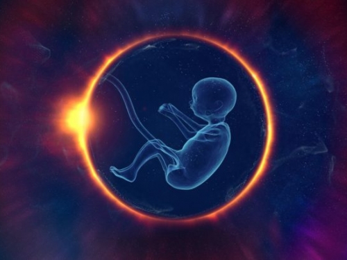 人類誕生「準時」而非「幸運」？新研究提高宇宙有智慧生命可能性