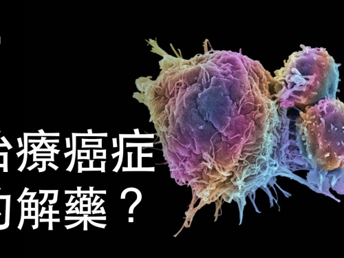 如果我們發現了治療癌症的解藥？| 大膽科學