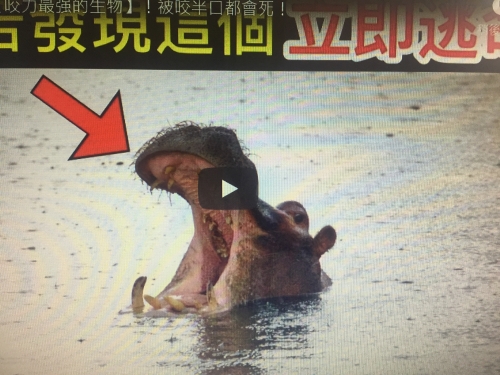 10個世界上【咬力最強的生物】！被咬半口都會死