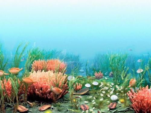 地球4億年前是什麼樣？一個蘑菇都能長到7米多高