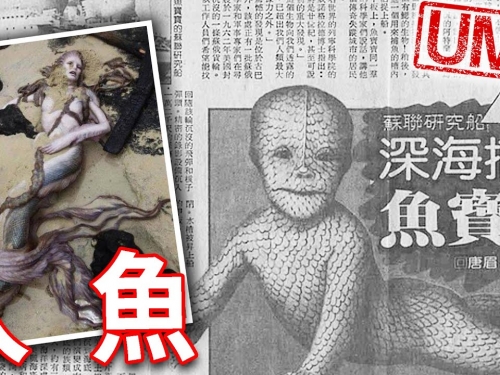 【UMA檔案】「人魚」- 人面魚身，真面目是海底人?美人魚真的是美人嗎?
