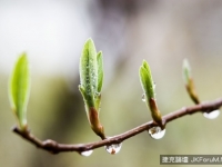 泰國醫生親歷的離奇事件！醫學無法解釋，發人深省！