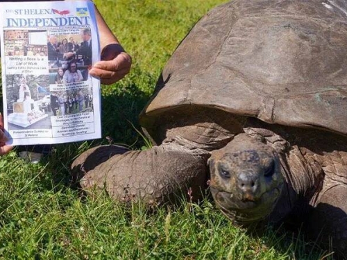 在世最老陸生生物紀錄持續！ 「龜瑞」喜迎191歲生日