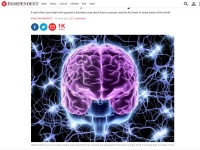 科學家最新研究: 大腦的設計方式是為了給人類製造幻覺