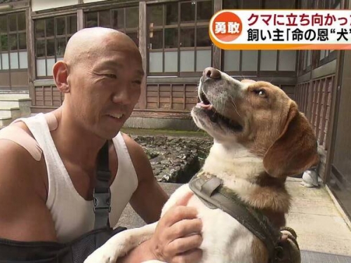 日本和尚「滿身肌肉」仍不敵熊襲 生死瞬間被愛犬救回一命