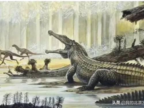地球上曾經下過一場100多萬年的雨，稱之爲“卡尼期洪積事件