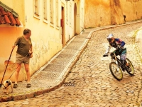 2014年度最佳極限運動大片