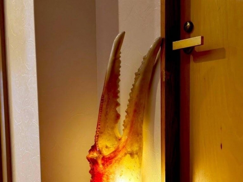 日本旅館驚見「超巨大蟹鉗」！ 網驚呼︰老闆當初怎麼打贏的？