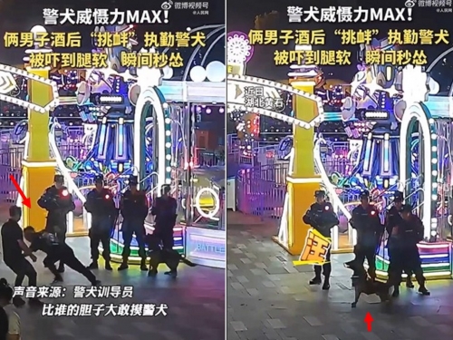 打賭摸警犬遭「驚天一吼」 2醉男險摔成狗吃屎