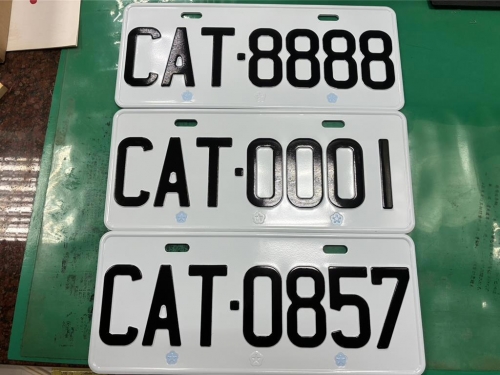 貓奴砸58萬標下CAT車牌 愛狗人士崩潰「DOG為何禁用」 原因曝光