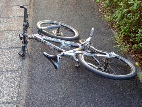 天上掉下無頭魚 他騎腳踏車被砸中 詭異畫面瘋傳