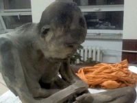 宛如昨日！ 蒙古發現200年前「打坐中的木乃伊」