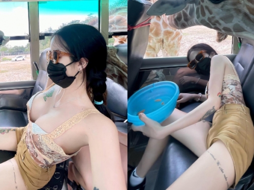 「巨乳妹」野生動物園餵長頸鹿被襲擊　趕緊趴下保護雙峰！