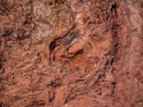 生命的起源：科學家在南非發現了地球上最古老的生命證據