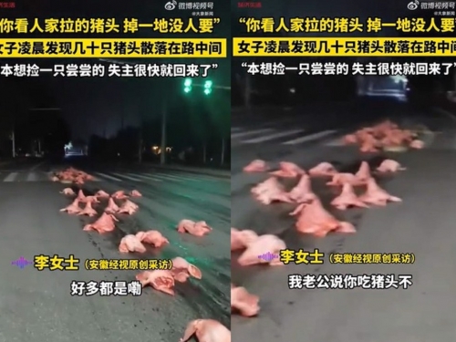 半夜馬路上全是「豬頭」 夫妻竊笑互問：你吃嗎？