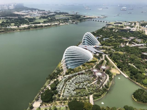 世界上唯一沒有蚊子國家，地處熱帶卻無需驅蚊水，深受旅行者好評