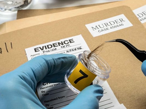 無需DNA 超敏蛋白技術從髮絲辨識身份