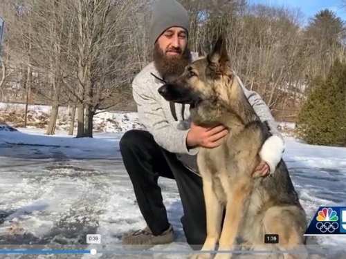 真實版靈犬萊西！ 聰明狗暗夜引路 救出車禍飼主