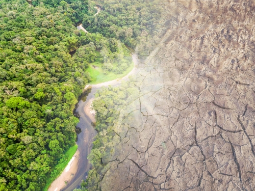 地球主肺或被切掉！科學家預言：2064年亞馬遜雨林將徹底崩潰