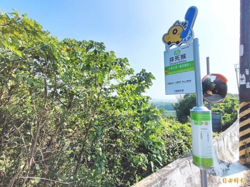 台南左鎮小黃公車站名「摔死猴」 超奇葩地名由來曝光