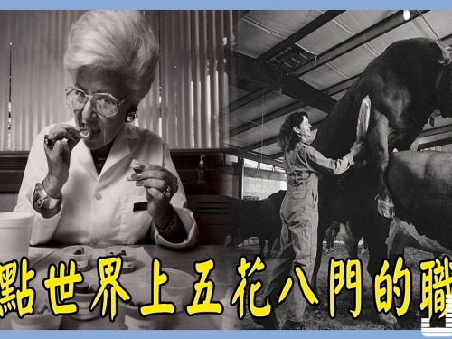 無奇不有，盤點世界上五花八門的職業