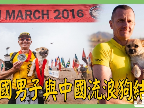 英國男子跑馬拉松與中國流浪狗結緣，不惜跨越萬里來尋找它