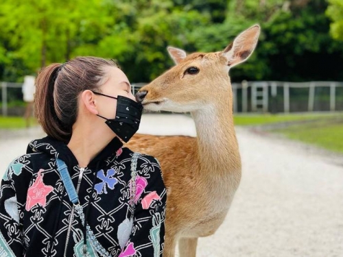 昆淩美成這樣小鹿也想親 周董愛妻宣言再複習一次